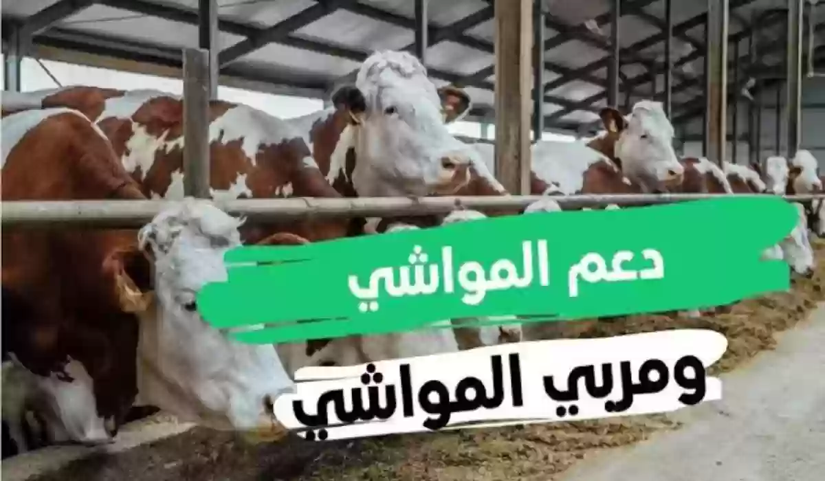 شروط دعم المواشي 