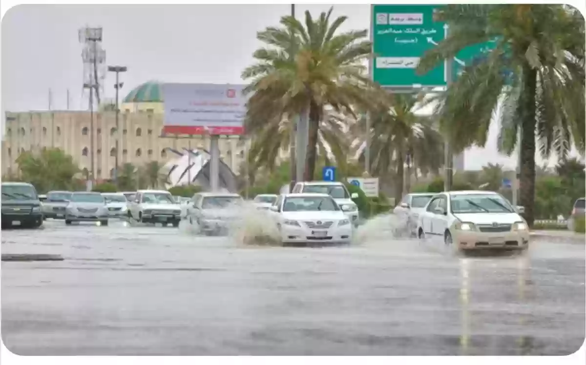 سحب رعدية ورياح نشطة تعصف بالمملكة.. حالة الطقس اليوم الجمعة 19 يناير في السعودية