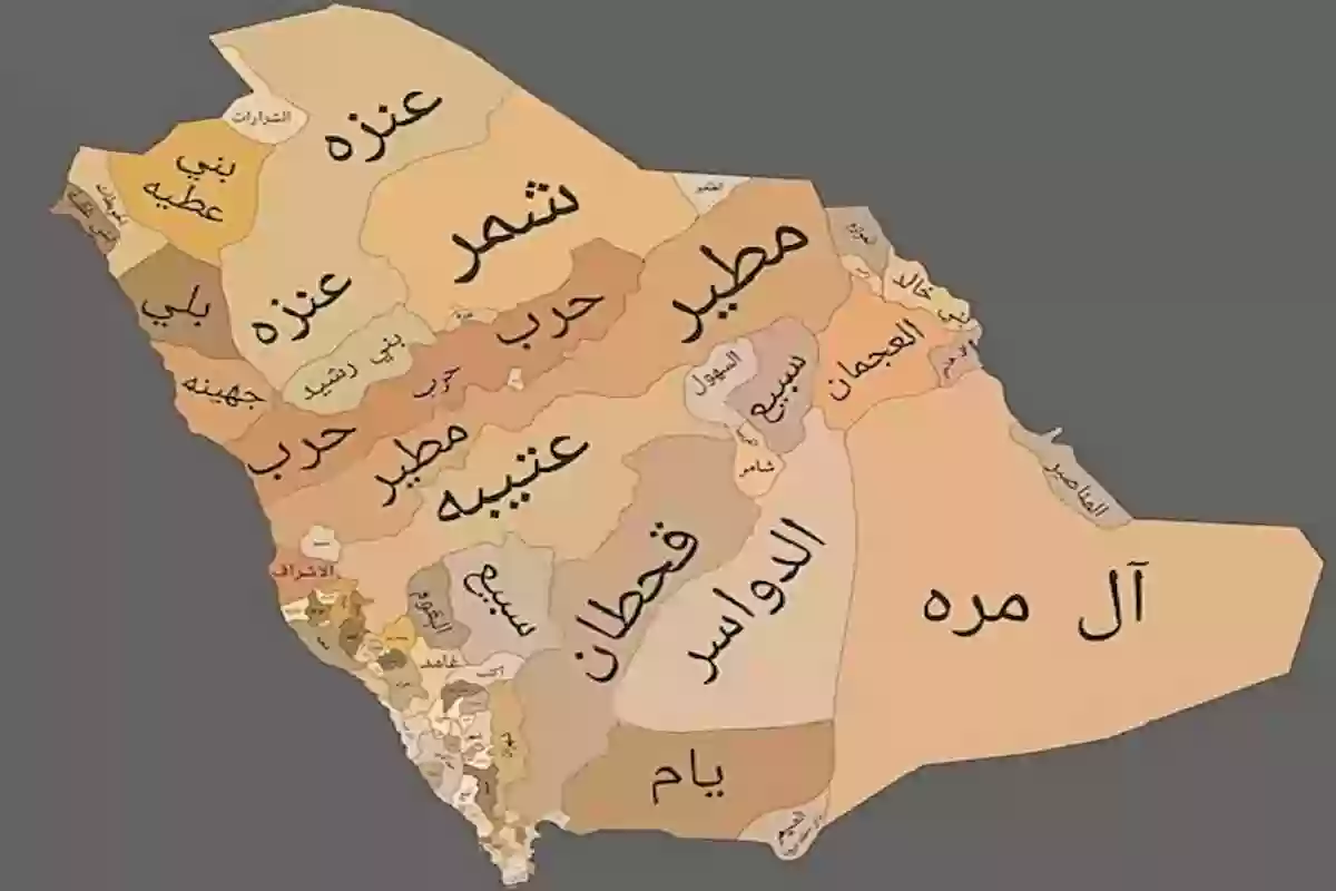 ترتيب القبائل السعودية من الأكبر إلى الأصغر بالأسماء