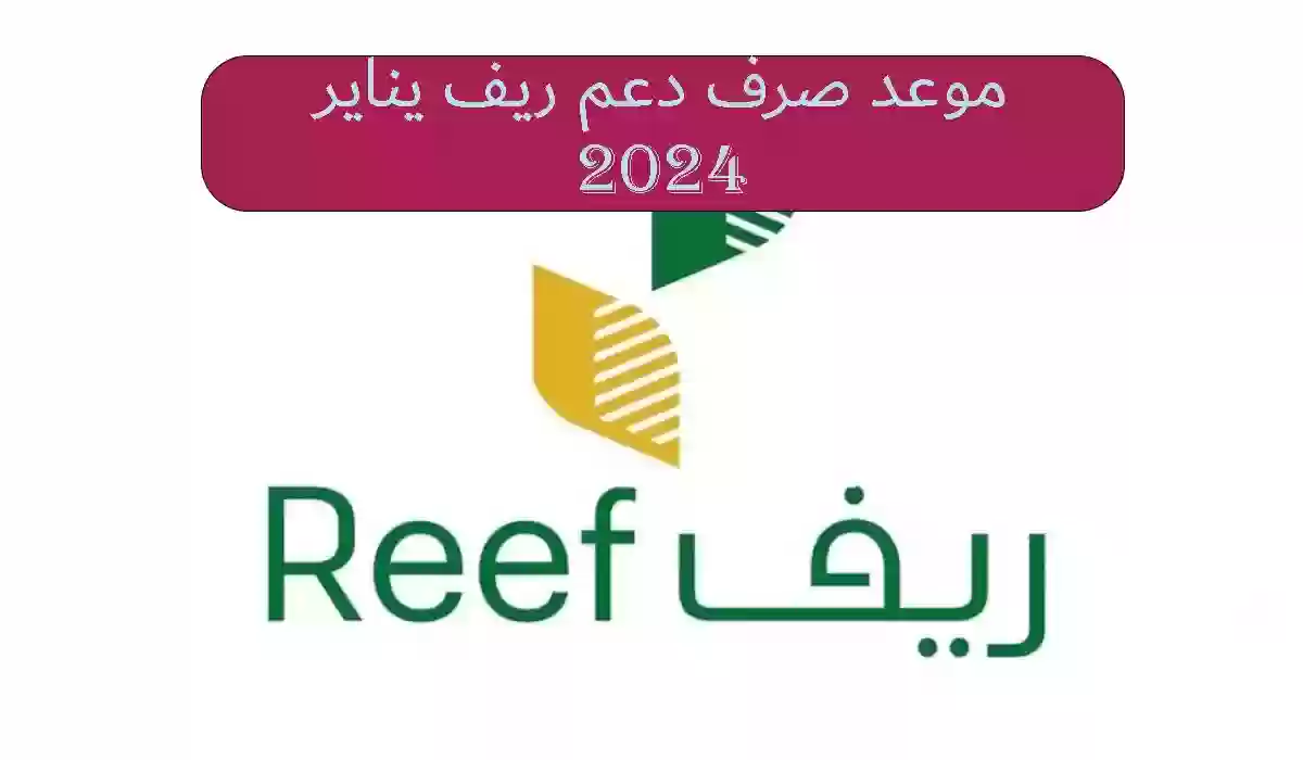 جهز محفظتك للقبض.. موعد صرف دعم ريف يناير 2024 في السعودية 