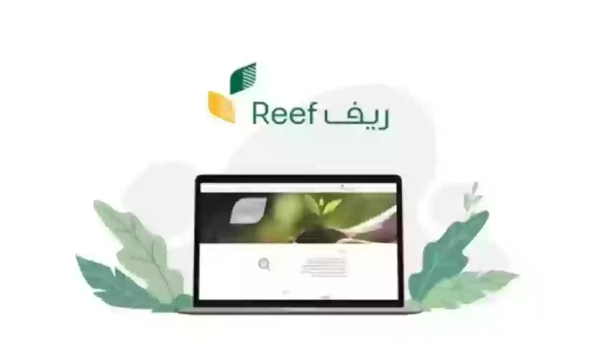 الفئات المستحقة دعم ريف